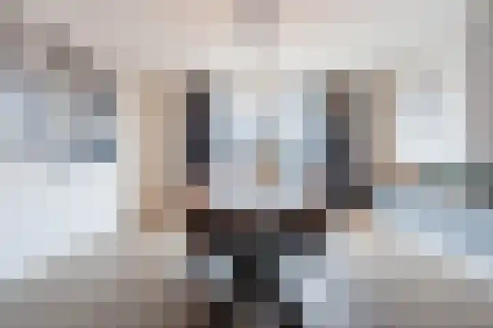 De Poste 40 Hollandscheveld thumbnail 17