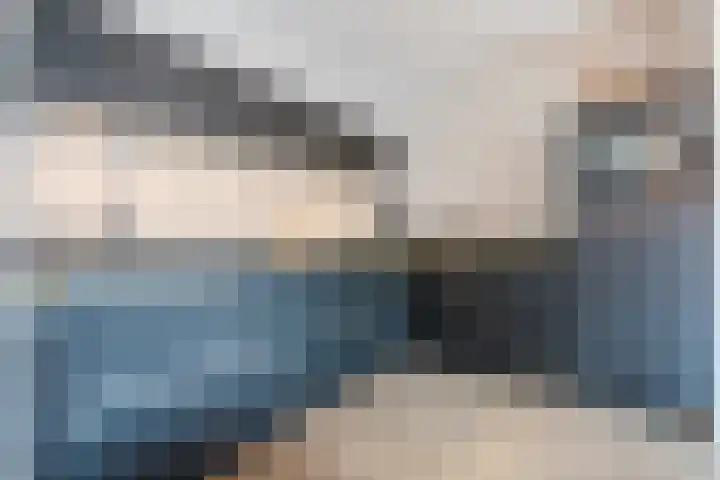 De Poste 40 Hollandscheveld thumbnail 20