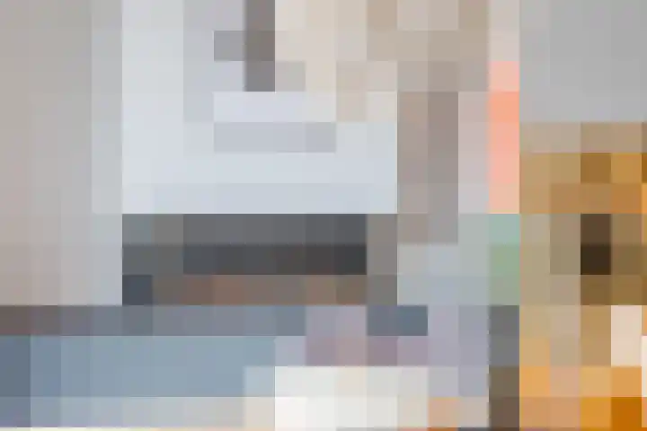 De Poste 40 Hollandscheveld thumbnail 22