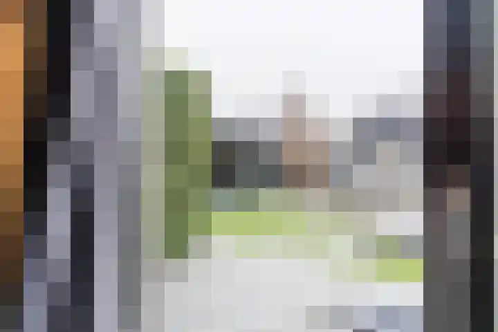 De Poste 40 Hollandscheveld thumbnail 24