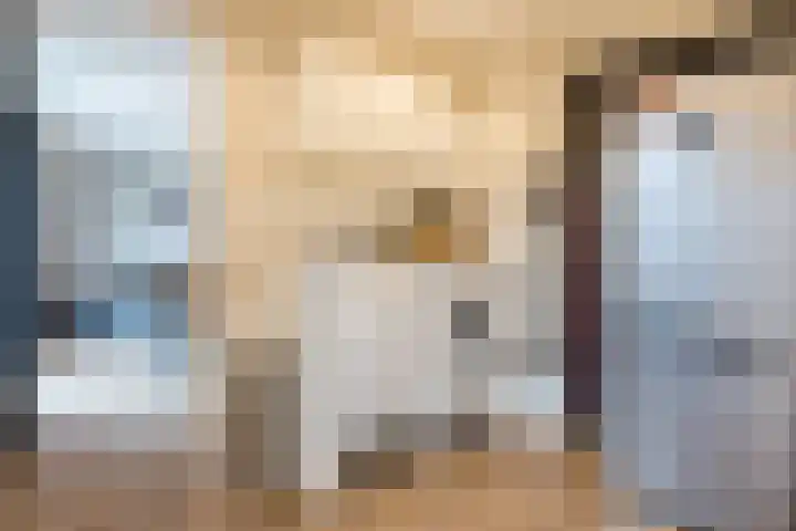 De Poste 40 Hollandscheveld thumbnail 25