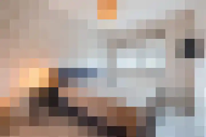 De Poste 40 Hollandscheveld thumbnail 26