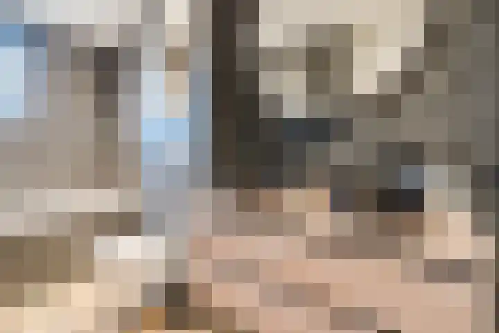 De Poste 40 Hollandscheveld thumbnail 33