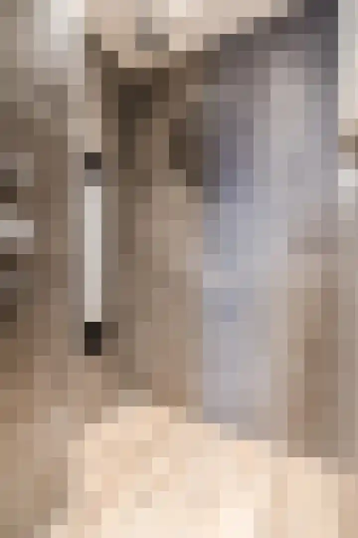 De Poste 40 Hollandscheveld thumbnail 36