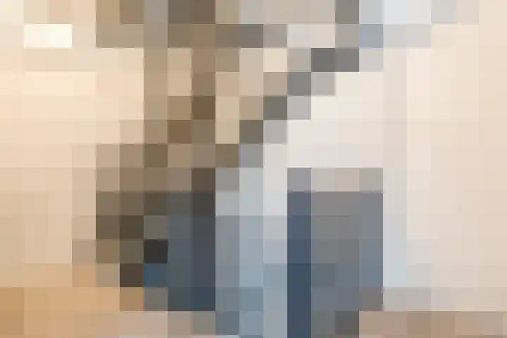 De Poste 40 Hollandscheveld thumbnail 38