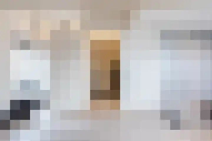 De Poste 40 Hollandscheveld thumbnail 41