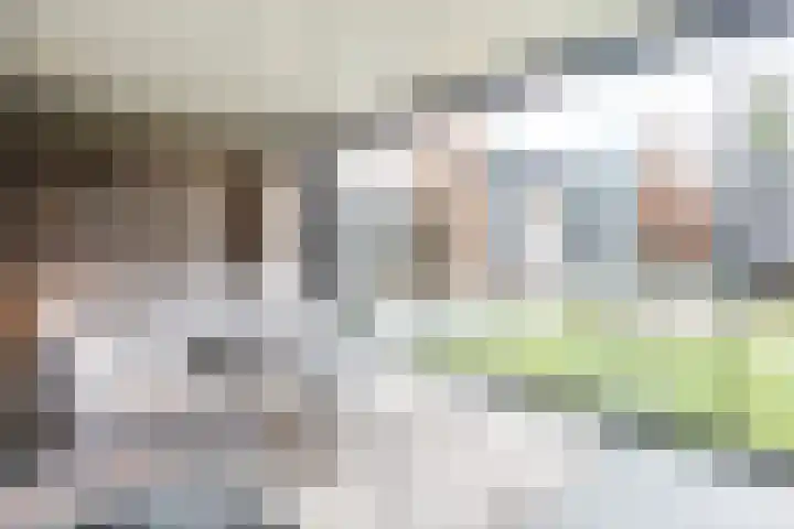 De Poste 40 Hollandscheveld thumbnail 45