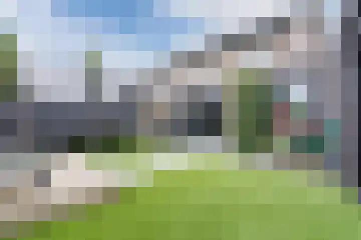 De Poste 40 Hollandscheveld thumbnail 46