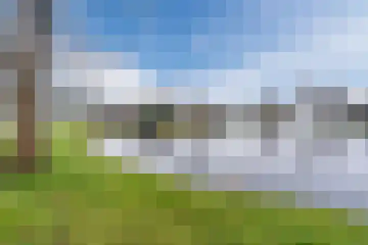 De Poste 40 Hollandscheveld thumbnail 49