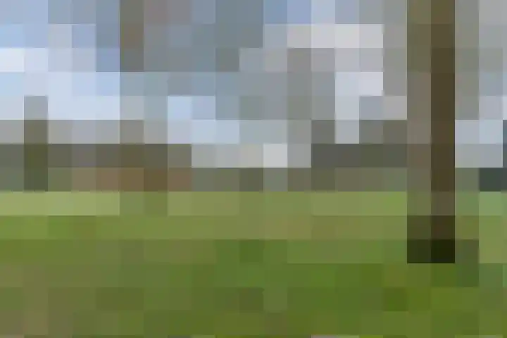 De Poste 40 Hollandscheveld thumbnail 50