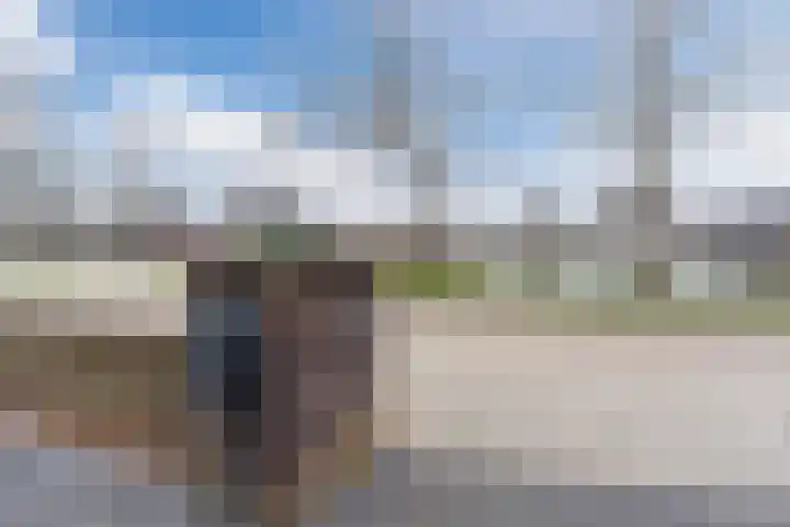 De Poste 40 Hollandscheveld thumbnail 6