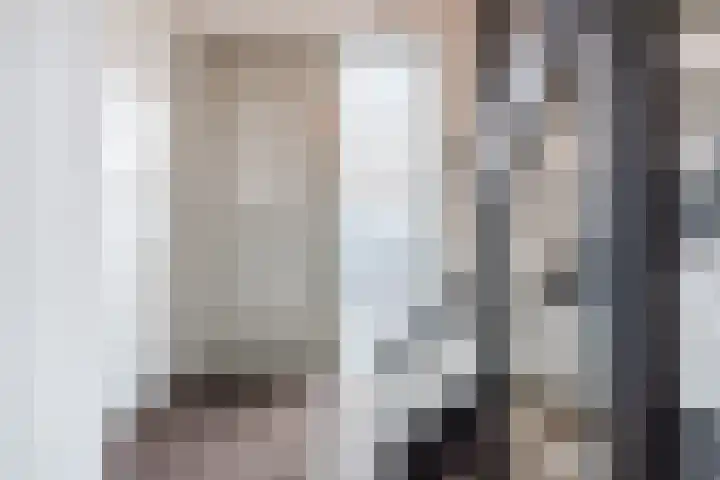 De Poste 40 Hollandscheveld thumbnail 9