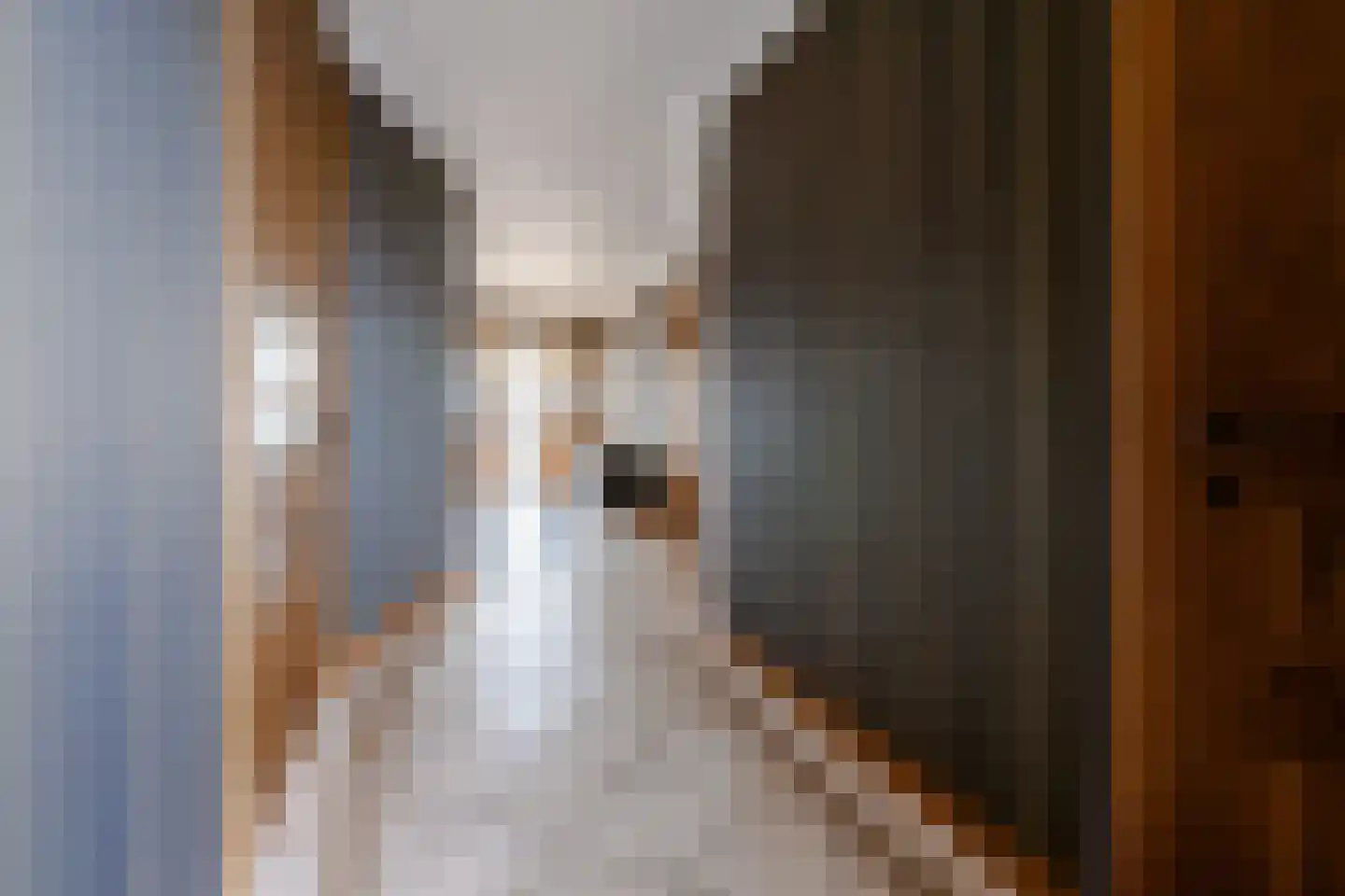 De Posterij 5 Zeist thumbnail 9
