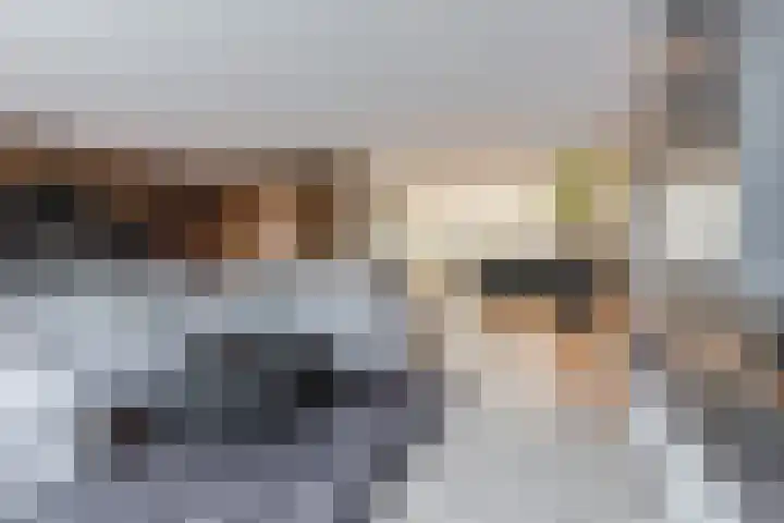de Poten 11 Eersel thumbnail 15