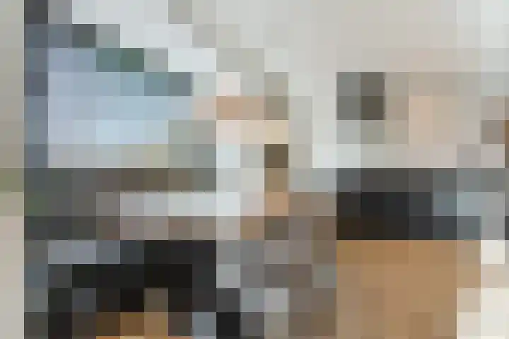 de Poten 11 Eersel thumbnail 19
