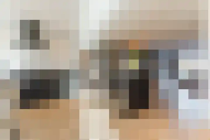 de Poten 11 Eersel thumbnail 21