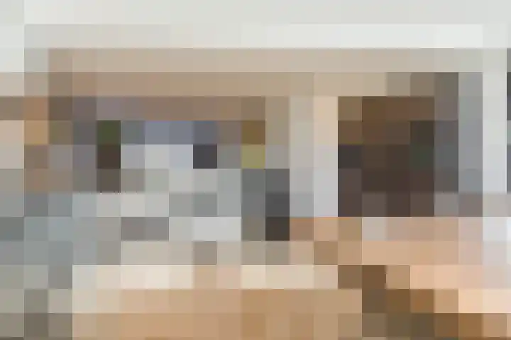 de Poten 11 Eersel thumbnail 22