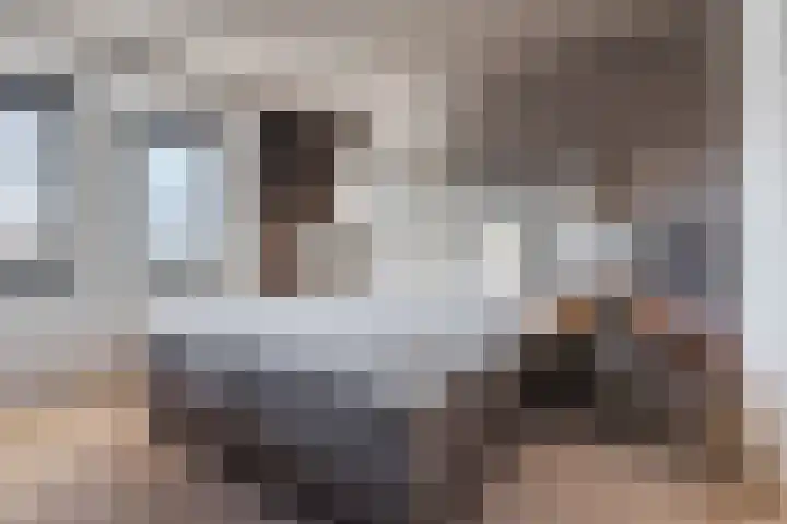 de Poten 11 Eersel thumbnail 29