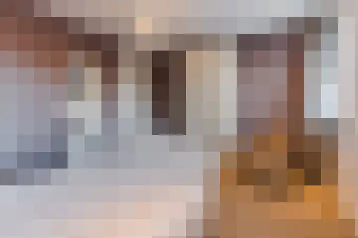 de Poten 11 Eersel thumbnail 36