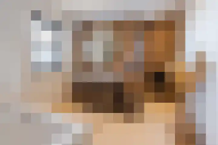 de Poten 11 Eersel thumbnail 37