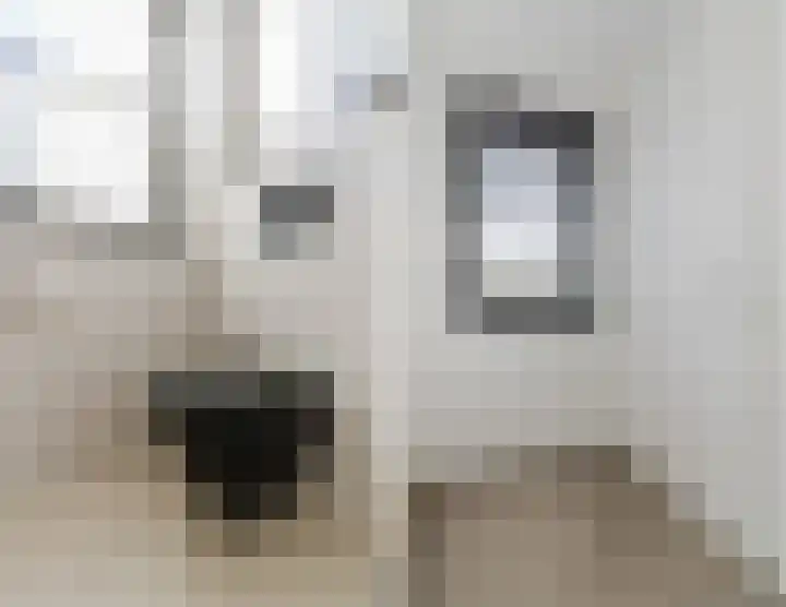 de Poten 11 Eersel thumbnail 40