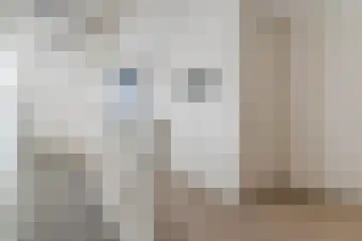 de Poten 11 Eersel thumbnail 41