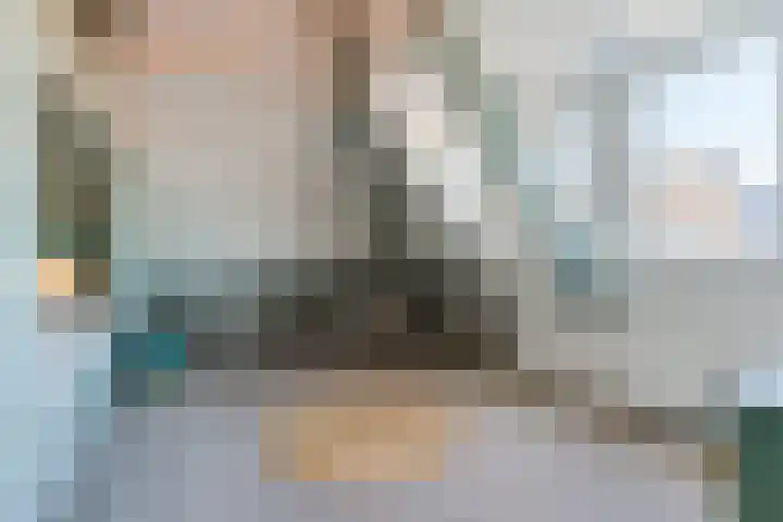 de Poten 11 Eersel thumbnail 44