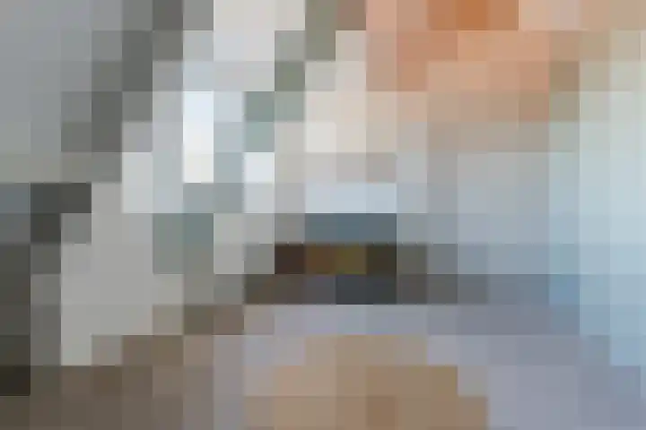 de Poten 11 Eersel thumbnail 46