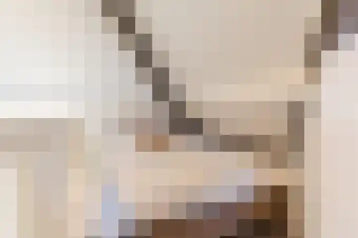 de Poten 11 Eersel thumbnail 47