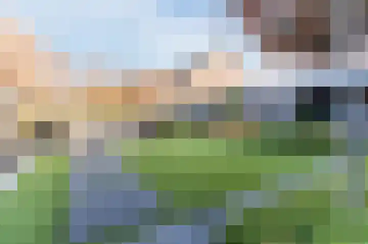 de Poten 11 Eersel thumbnail 57
