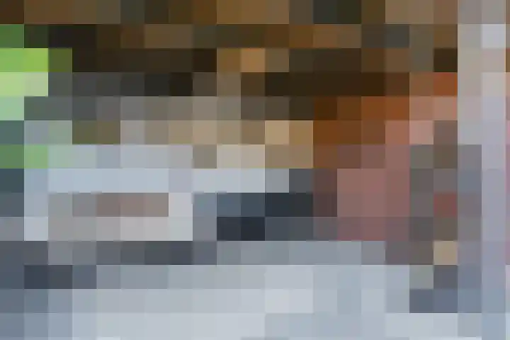 de Poten 11 Eersel thumbnail 60