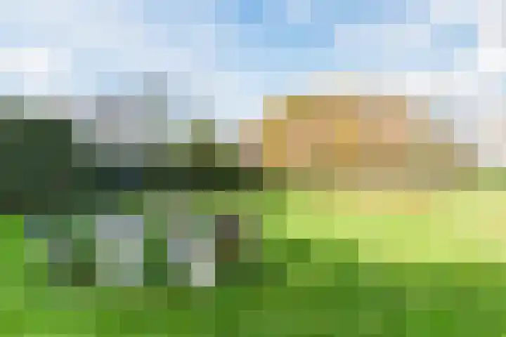 de Poten 11 Eersel thumbnail 71