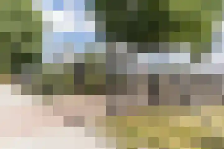 de Poten 11 Eersel thumbnail 74