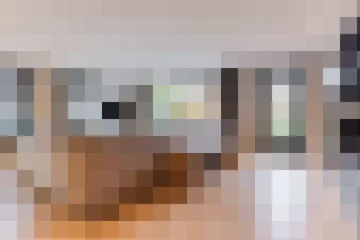 de Poten 11 Eersel thumbnail 9