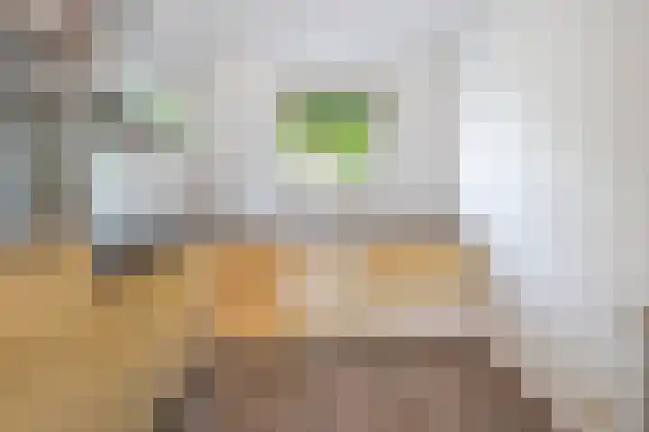 de Poten 63 Eersel thumbnail 15