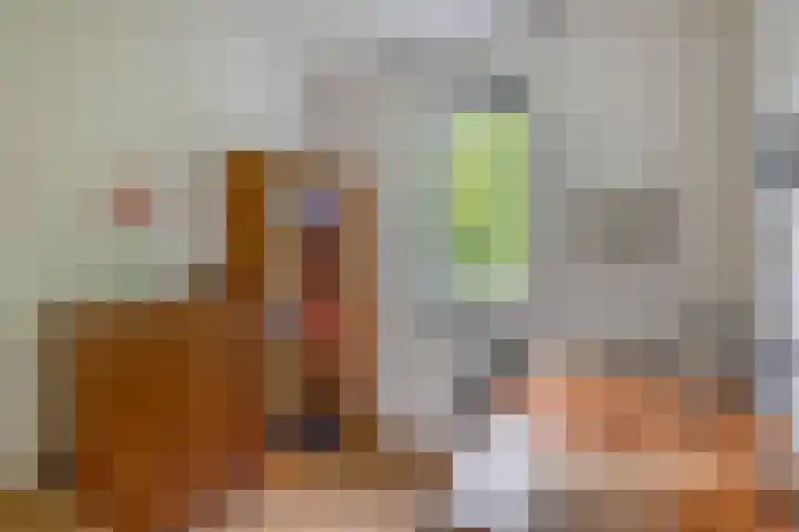 de Poten 63 Eersel thumbnail 21