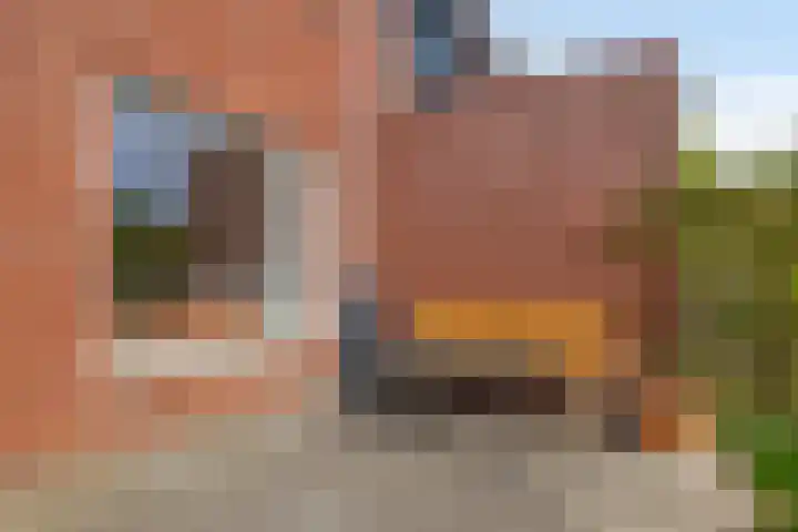 de Poten 63 Eersel thumbnail 28