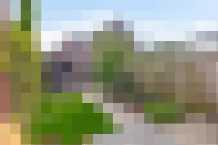 de Poten 63 Eersel thumbnail 30