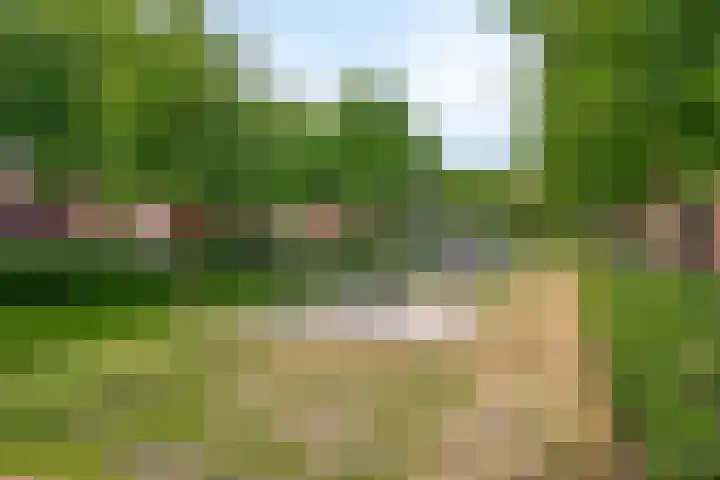 de Poten 63 Eersel thumbnail 35