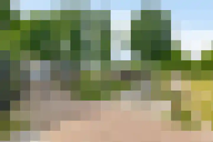 de Poten 63 Eersel thumbnail 36
