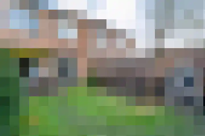 De Praam 12 in Dedemsvaart