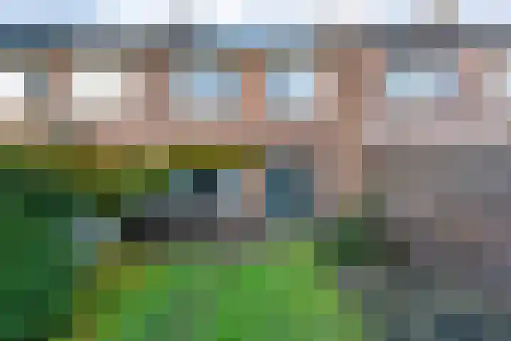 De Praam 12 Dedemsvaart thumbnail 29
