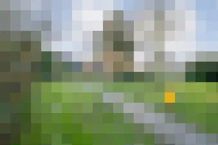 De Praam 12 Dedemsvaart thumbnail 33
