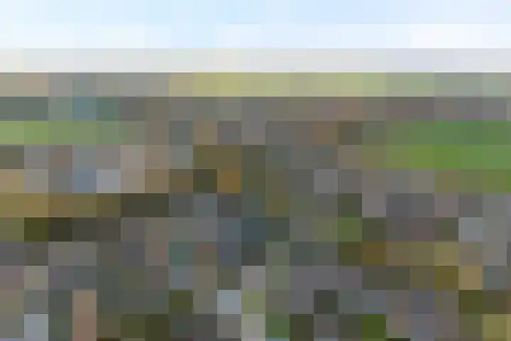 De Praam 12 Dedemsvaart thumbnail 35