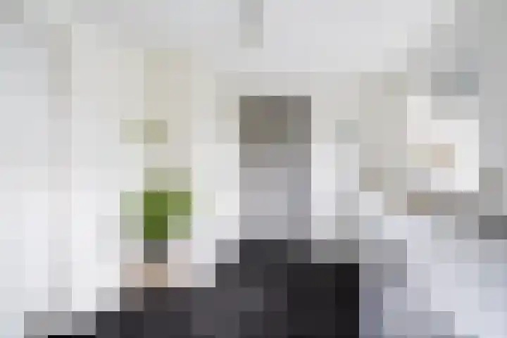 De Pream 13 Hallum thumbnail 12