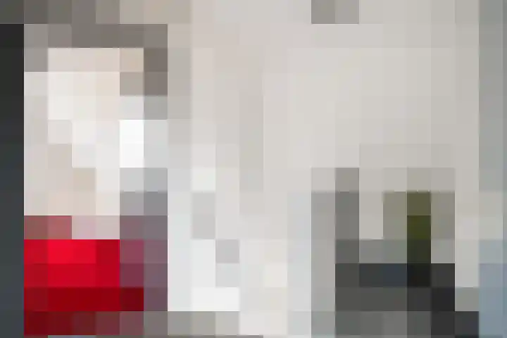 De Pream 13 Hallum thumbnail 19