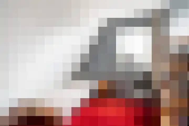 De Pream 13 Hallum thumbnail 22