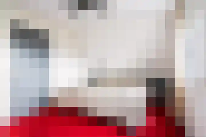 De Pream 13 Hallum thumbnail 28