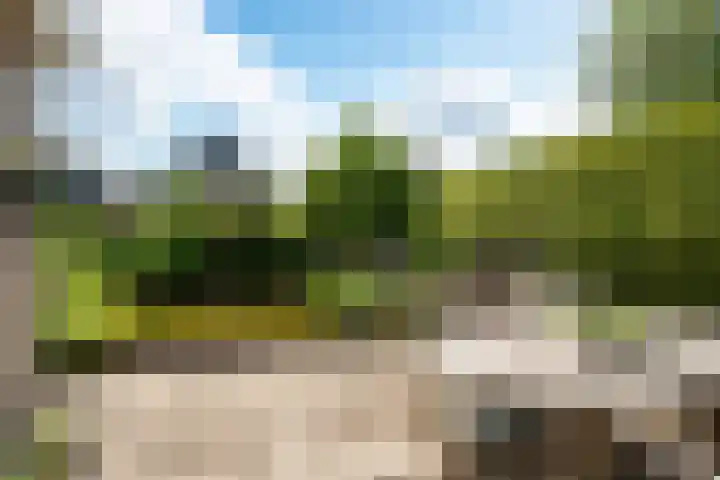 De Pream 13 Hallum thumbnail 33