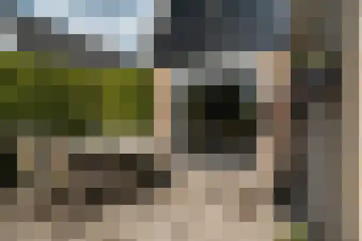 De Pream 13 Hallum thumbnail 34